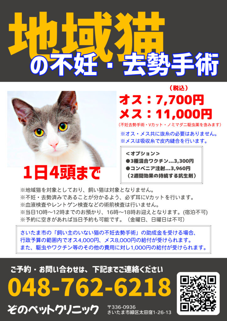 ペッツファースト  避妊 去勢手術 チケット