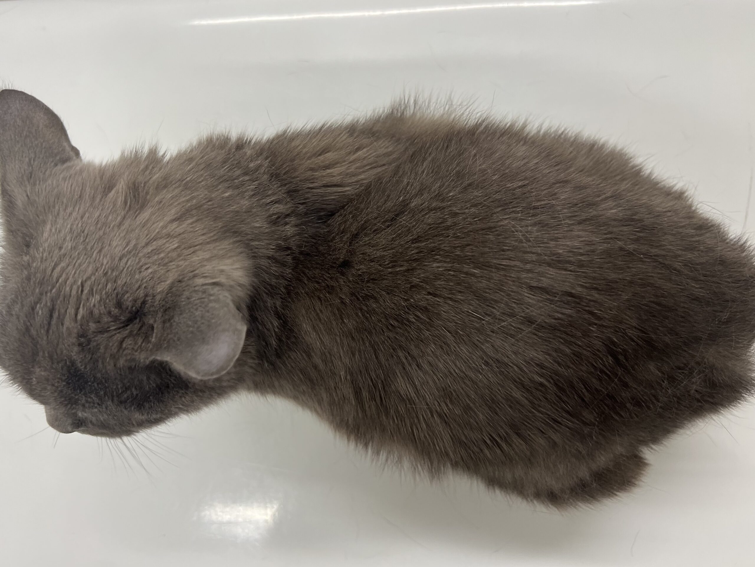 注意すべき症状