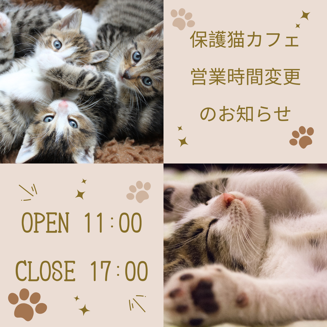 猫主さま専用ページ 保護猫カフェの時間変更のお知らせ | ぞのペットクリニック | さいたま